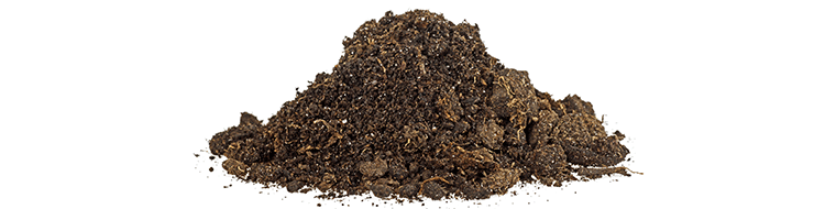 Night soil and sludge recycling treatment